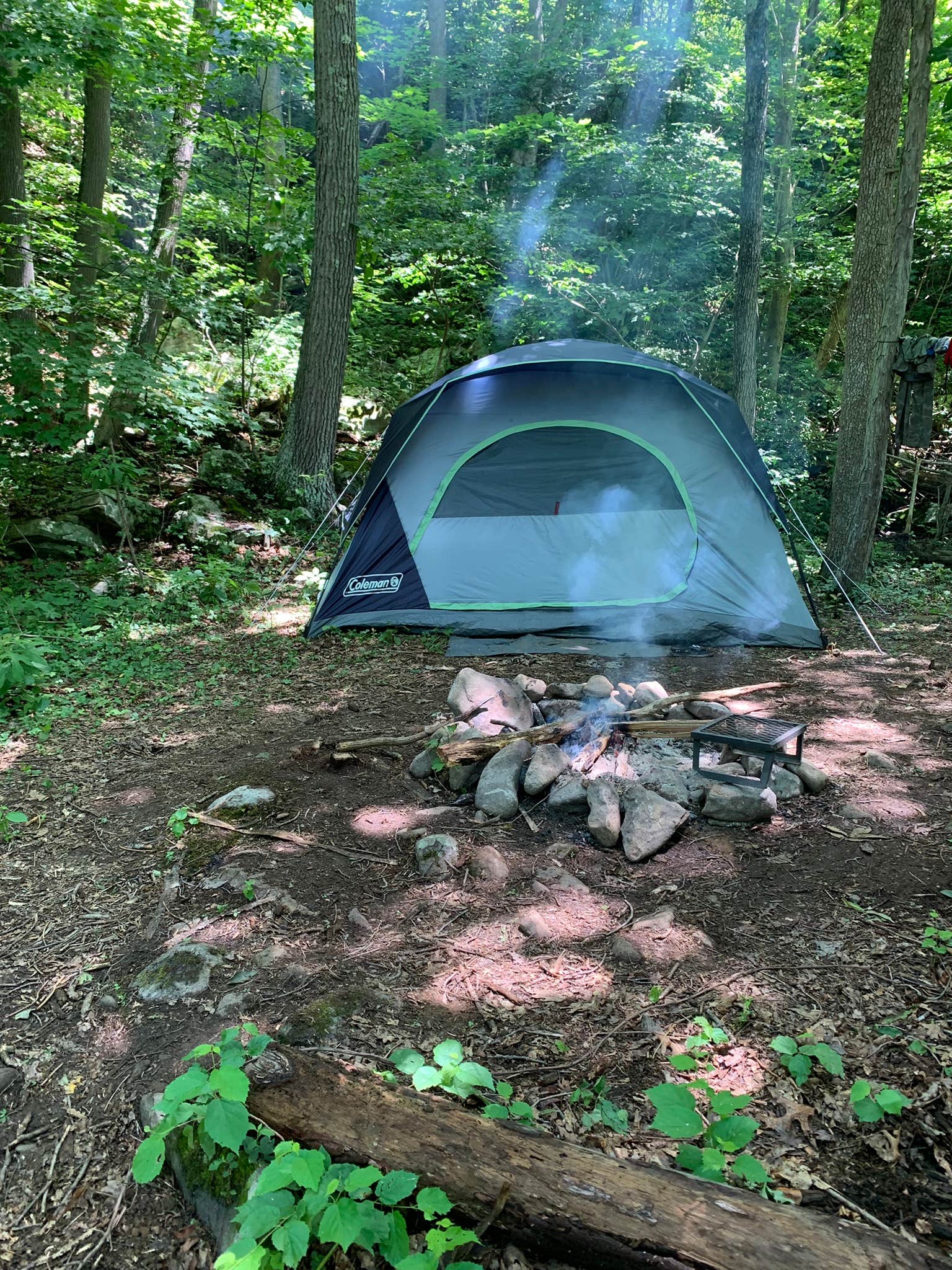 Tara B.'s photo of tent camping at The Wildflower on Abrams Creek near Brownfield, PA