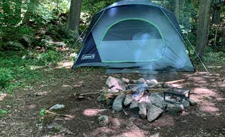 Tara B.'s photo at The Wildflower on Abrams Creek near Burlington, WV