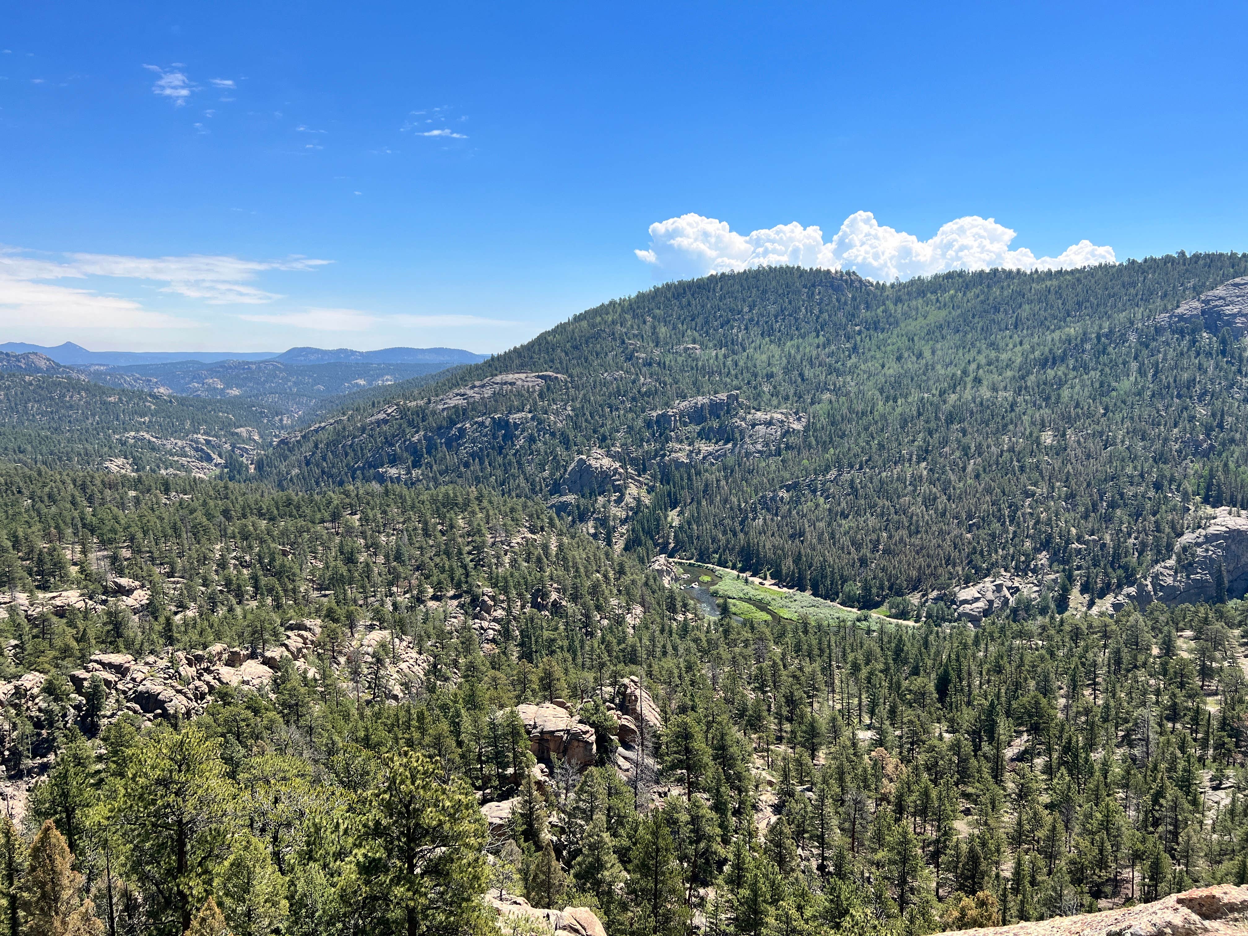 Camper-submitted photo at Cove Campground near Lake George, CO