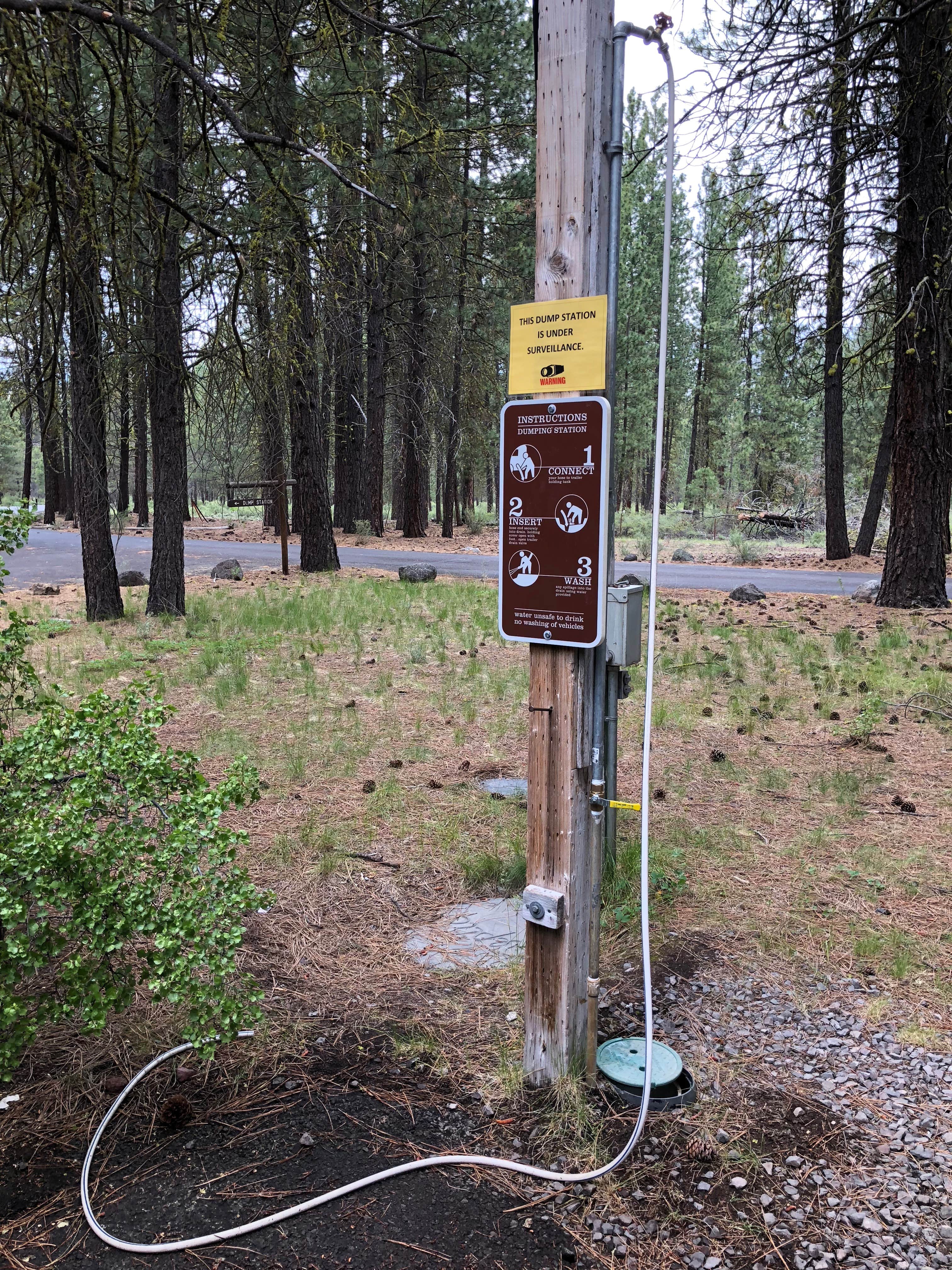 Camper submitted image from Collier Memorial State Park Campground - 5