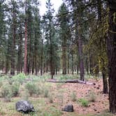 Review photo of Collier Memorial State Park Campground by Corinna B., July 19, 2018