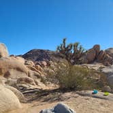 Review photo of White Tank Campground — Joshua Tree National Park by Lilliana M., July 14, 2022