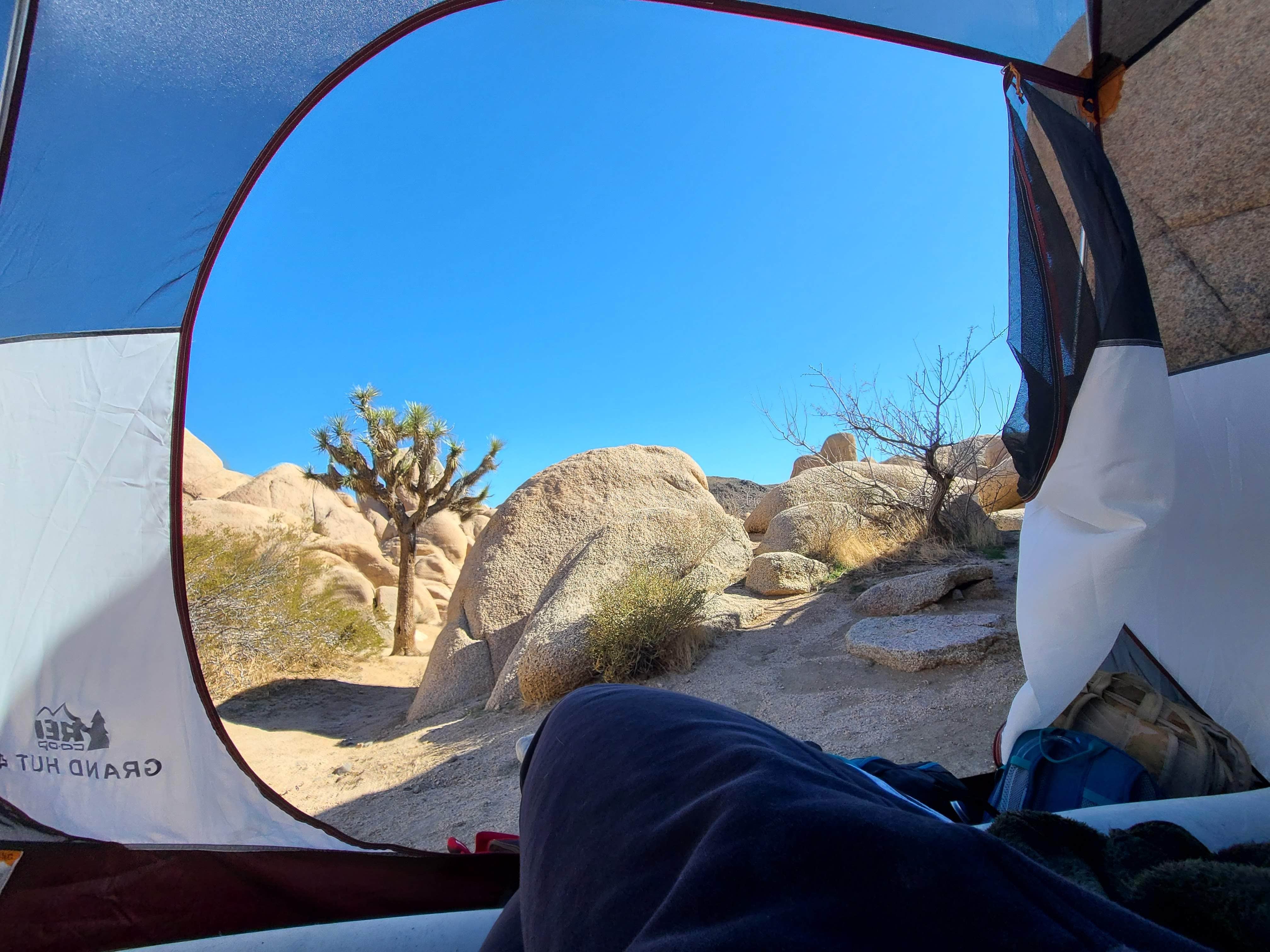 Lilliana M.'s photo at White Tank Campground — Joshua Tree National Park near Joshua Tree National Park