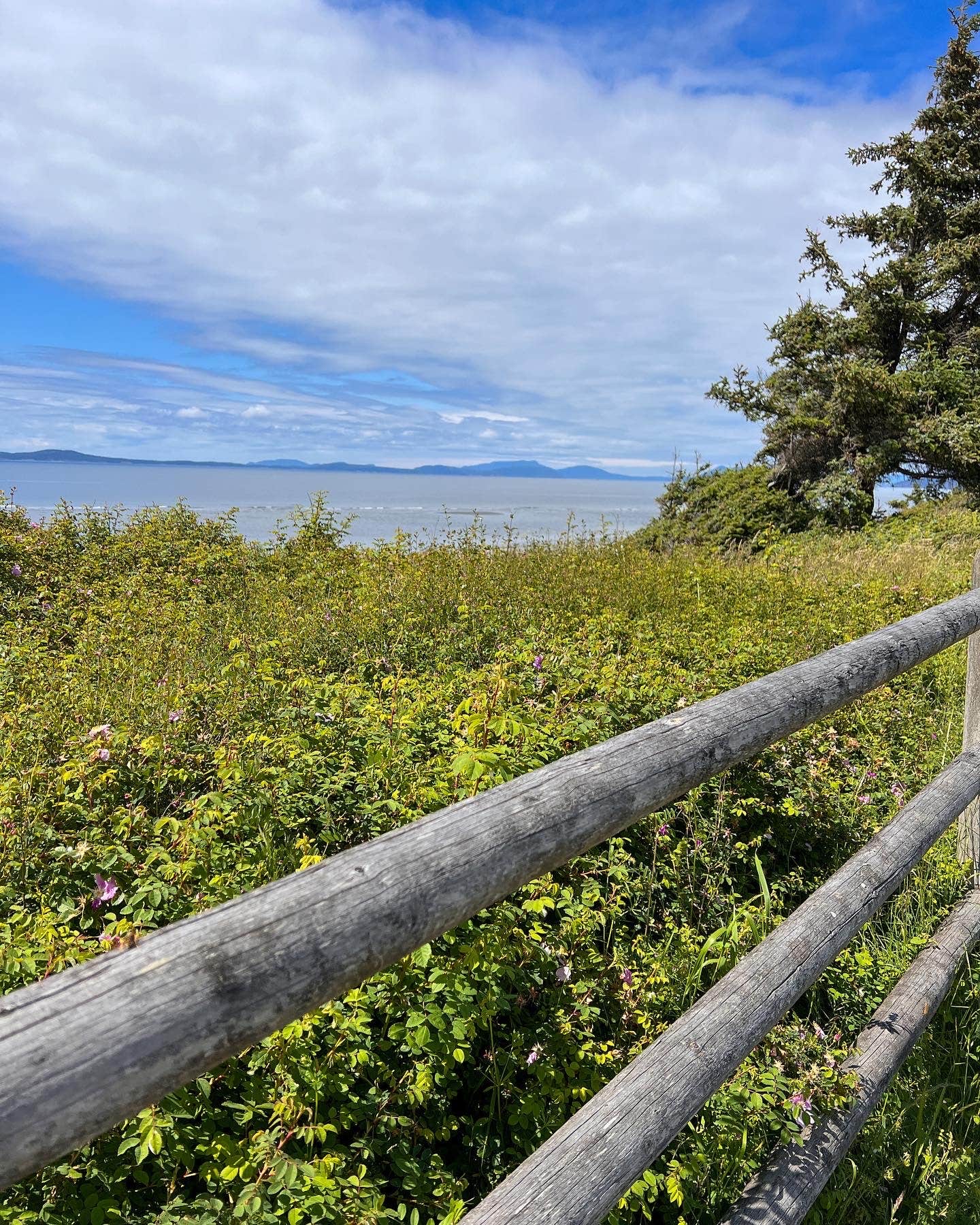 Camper-submitted photo at Cliffside RV Park - Military near Oak Harbor, WA