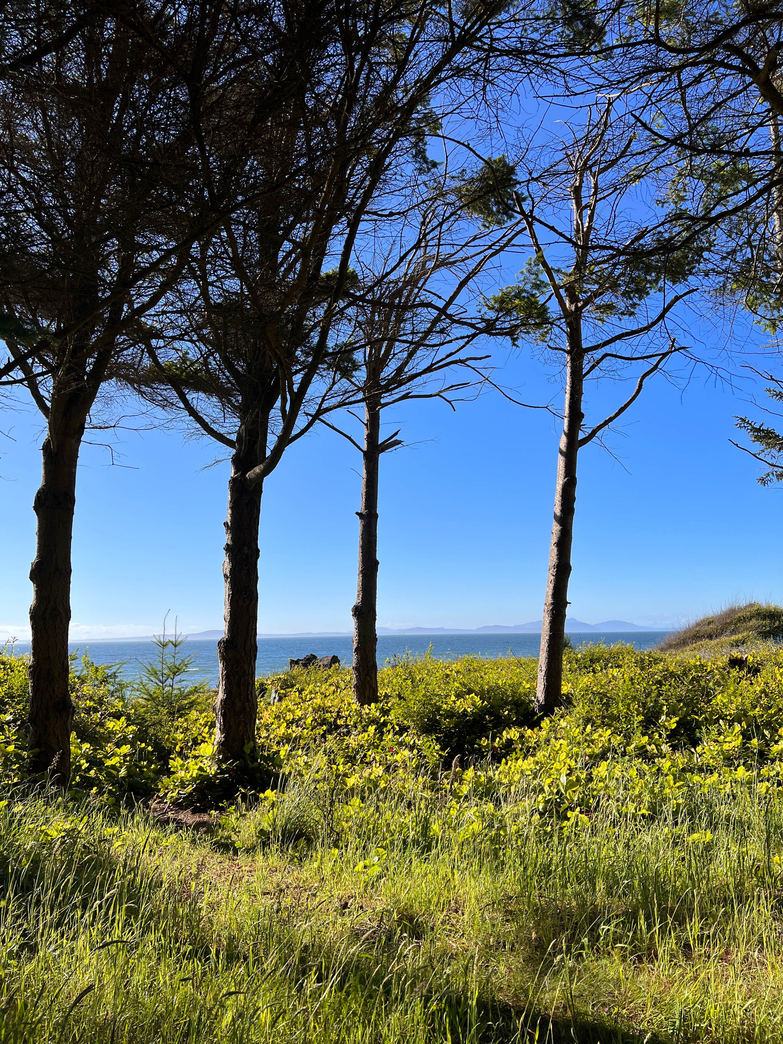 Camper-submitted photo at Cliffside RV Park - Military near Coupeville, WA