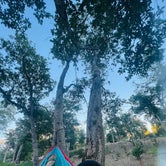 Review photo of Northshore Campground by Autumn O., July 14, 2022