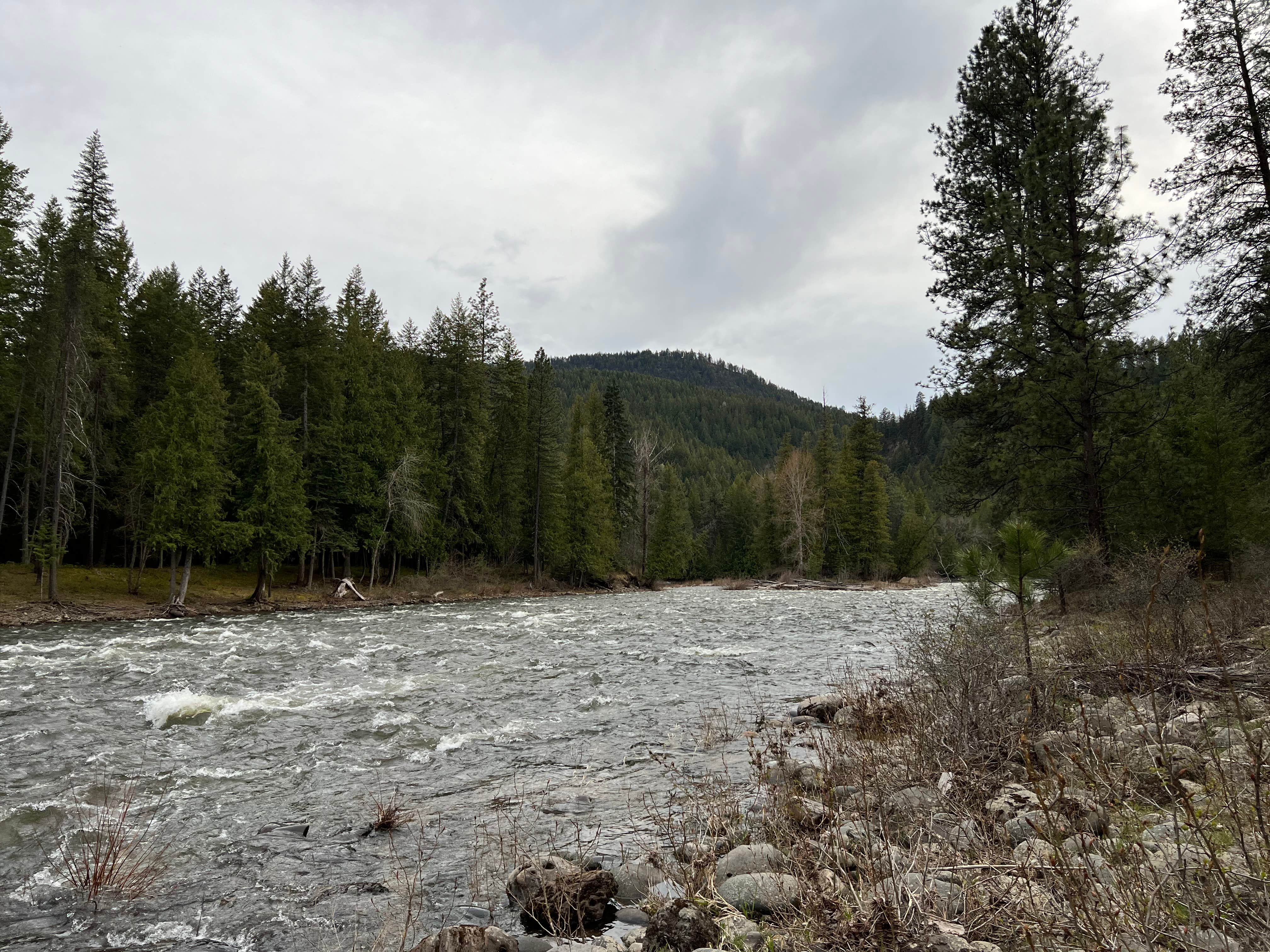 Camper-submitted photo at Yaak River Campground near Bonners Ferry, ID