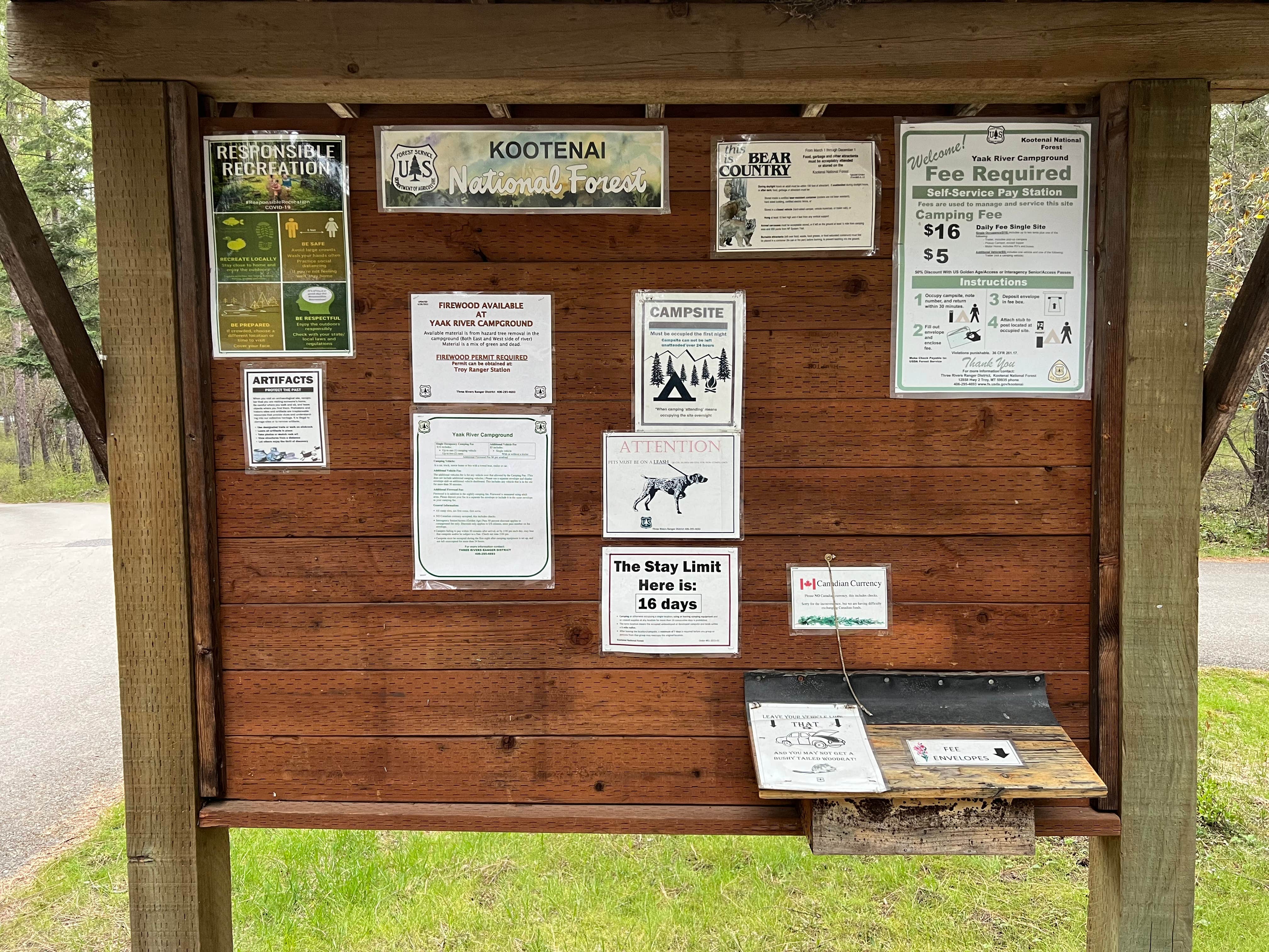 Camper submitted image from Yaak River Campground - 3