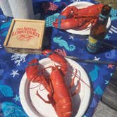 Review photo of Schoodic Woods Campground — Acadia National Park by Shelley B., July 19, 2018