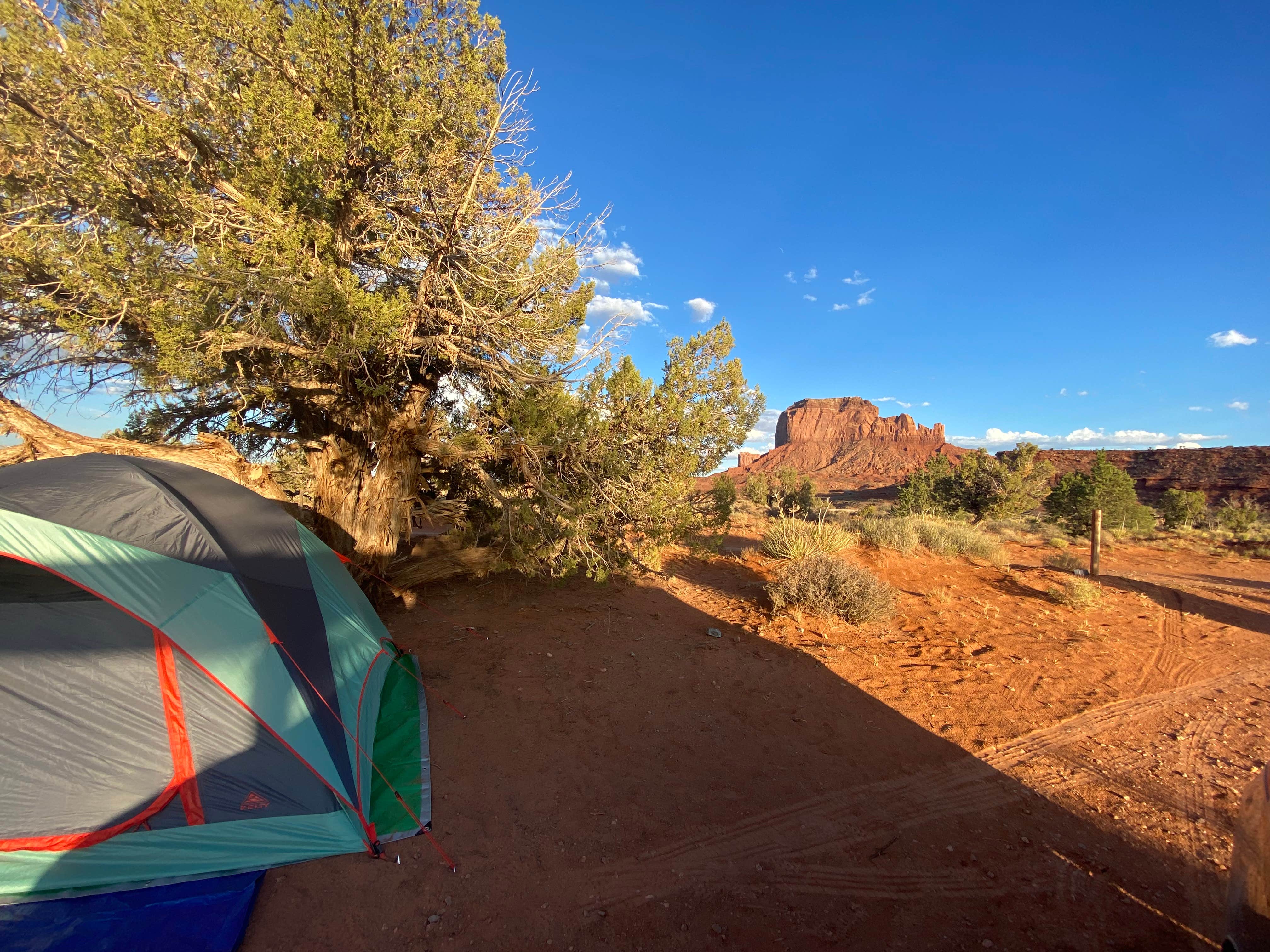 Camper submitted image from Sleeping Bear Campground - 1