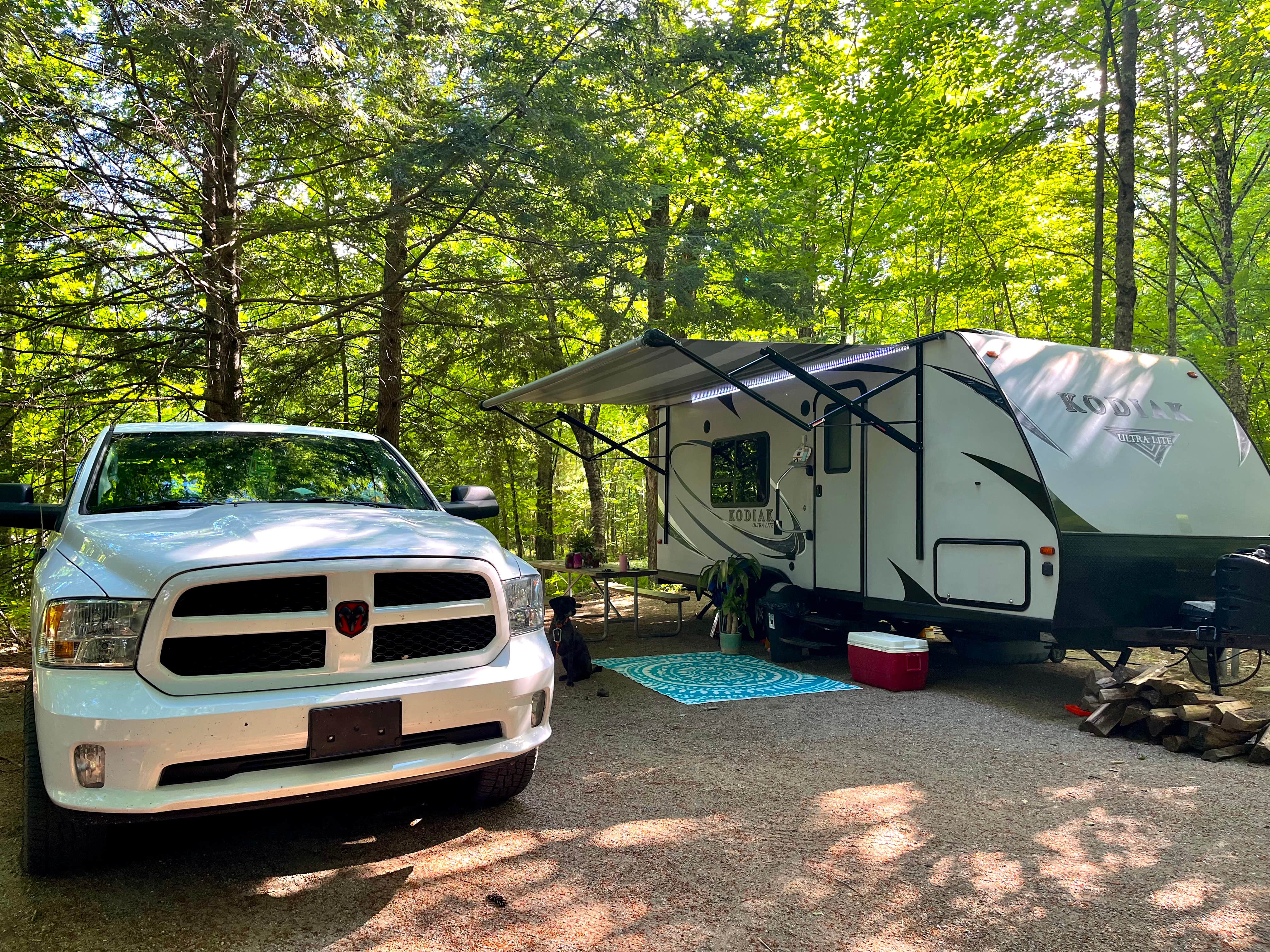 Camper submitted image from Maple Haven Campground - 1