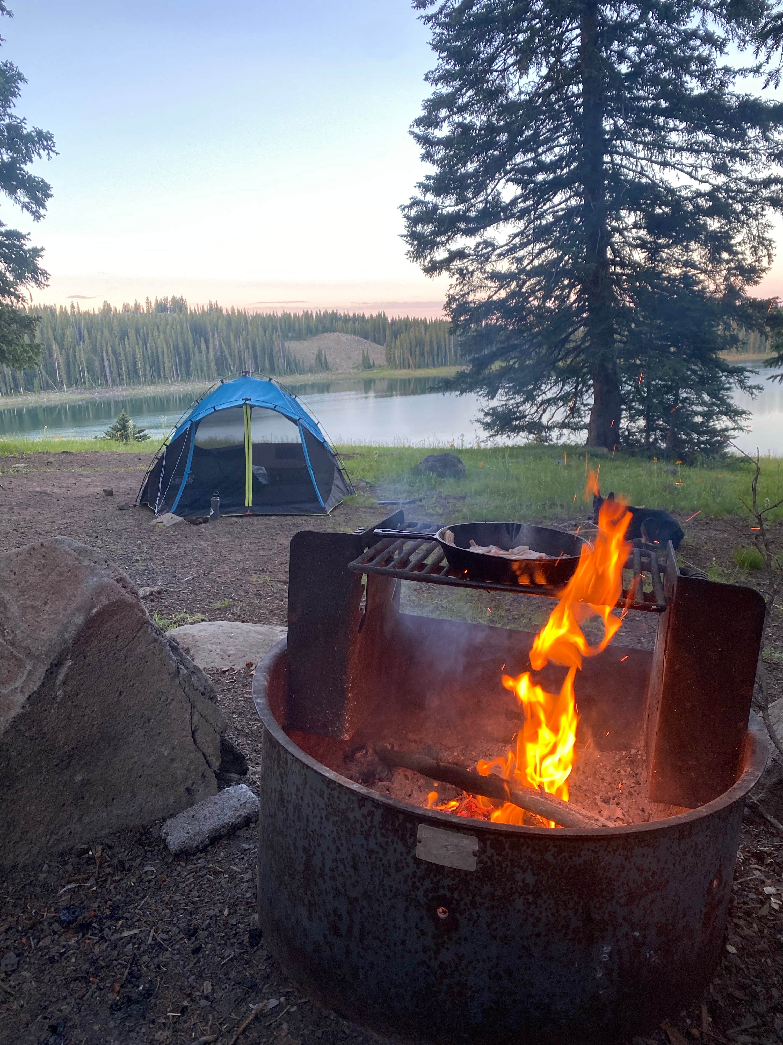 Camper-submitted photo at Ward Lake Campground near Collbran, CO