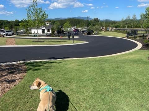 Logan S.'s photo of camping with pets at Talona Ridge RV Resort near Eton, GA