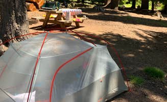 Megan A.'s photo of tent camping at Goose Lake Campground near Columbia River Gorge National Scenic Area