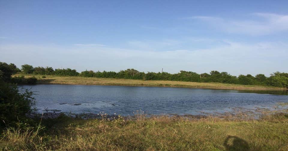 Hackberry Hills Camping Woodway, TX