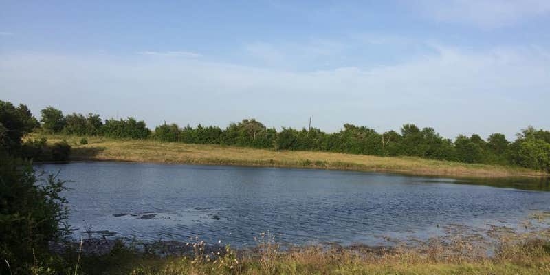 Camper submitted image from Hackberry Hills