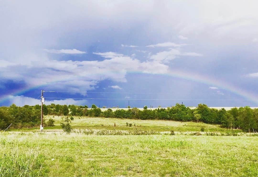 Camper-submitted photo at Hackberry Hills near Moody, TX