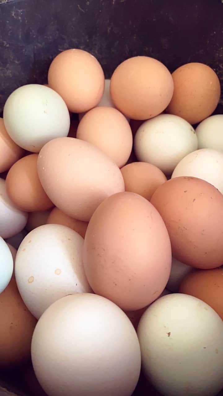 Camper-submitted photo at Hackberry Hills near Moody, TX