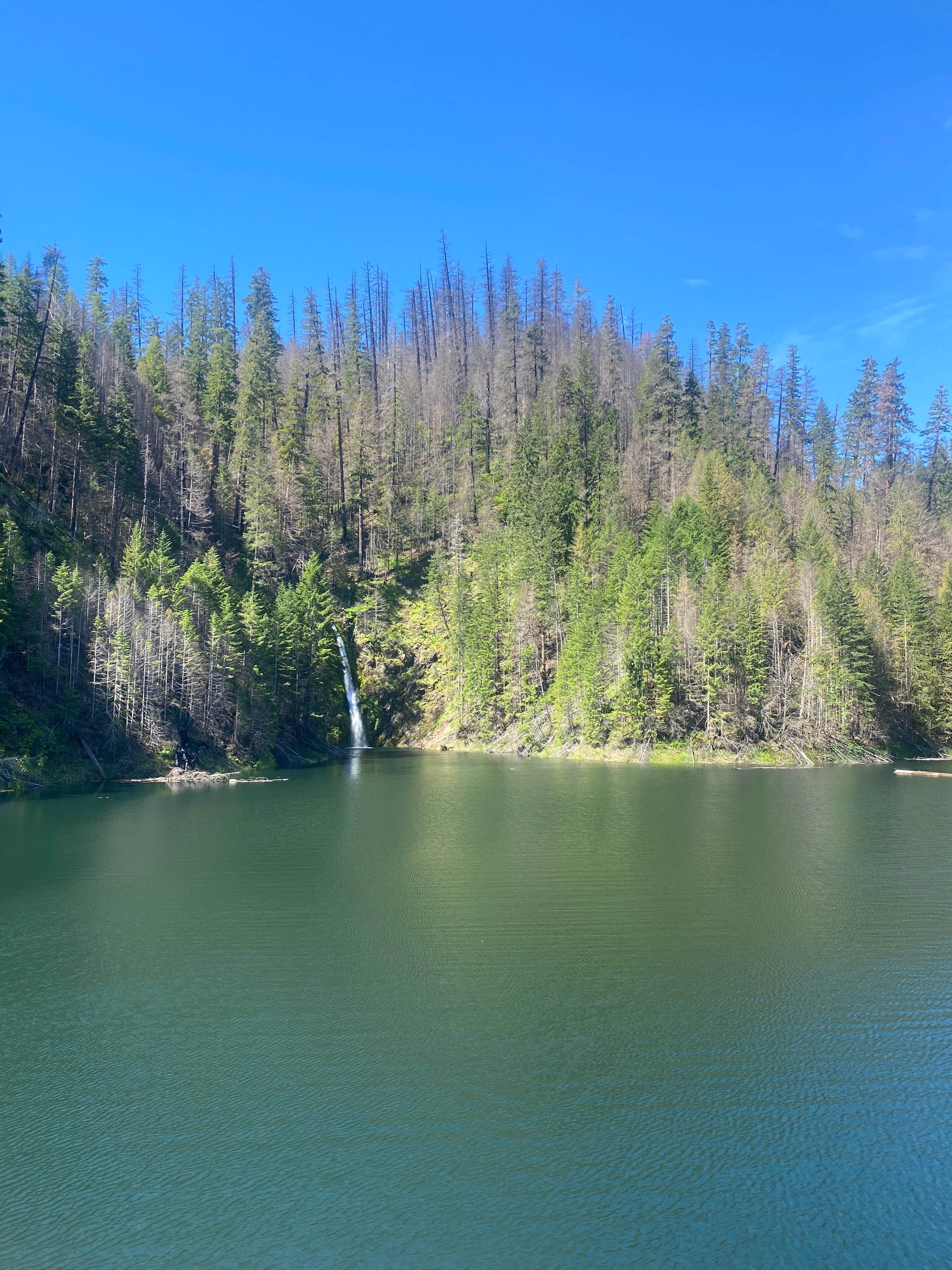 Camper-submitted photo at Cougar Crossing Campground — Willamette National Forest near Deschutes National Forest