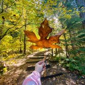 Review photo of Toketee Lake Campground — Umpqua National Forest by Autumn O., July 15, 2022