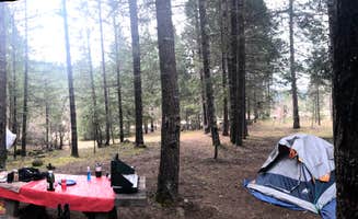 Autumn O.'s photo at Toketee Lake Campground — Umpqua National Forest near Umpqua National Forest