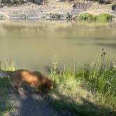 Review photo of Palisades Campground by James W., July 15, 2022