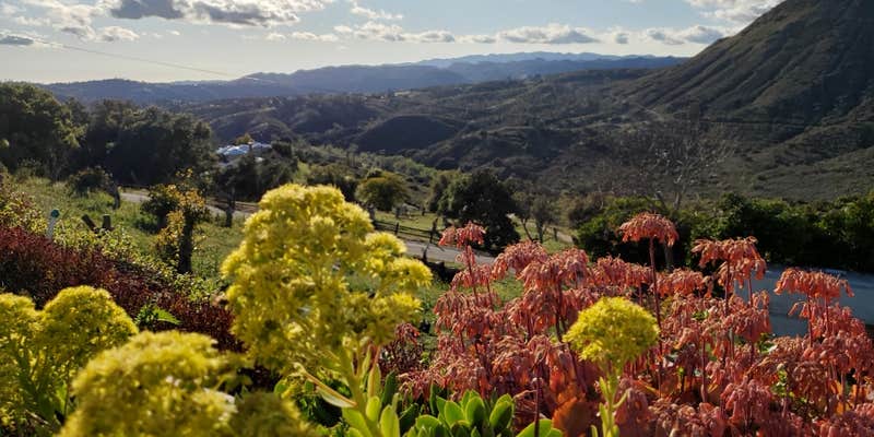 Camper submitted image from Sunset View River Getaway