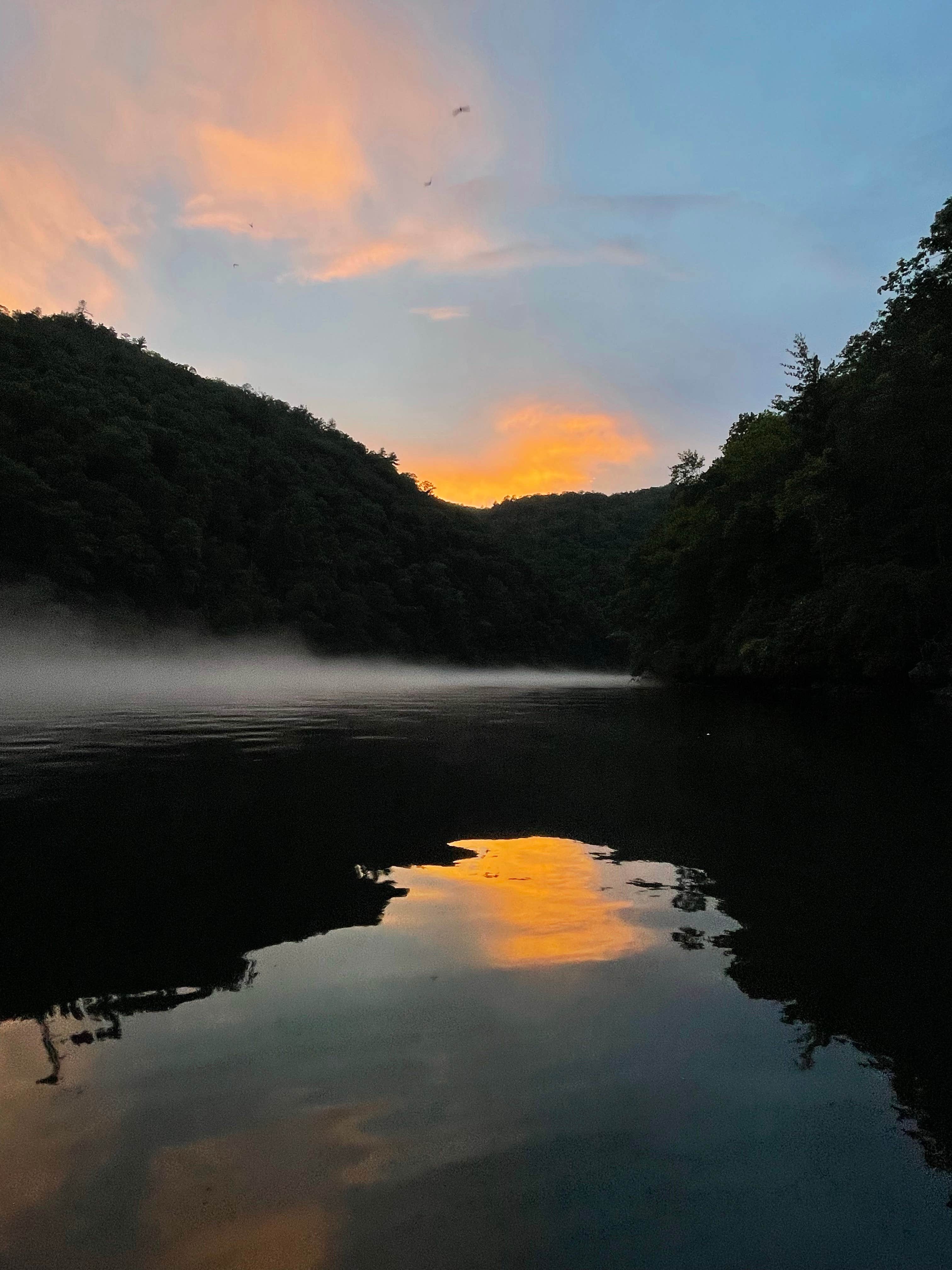Claire K.'s photo of a dispersed camping area at Calderwood Lake Primitive campground near Dandridge, TN