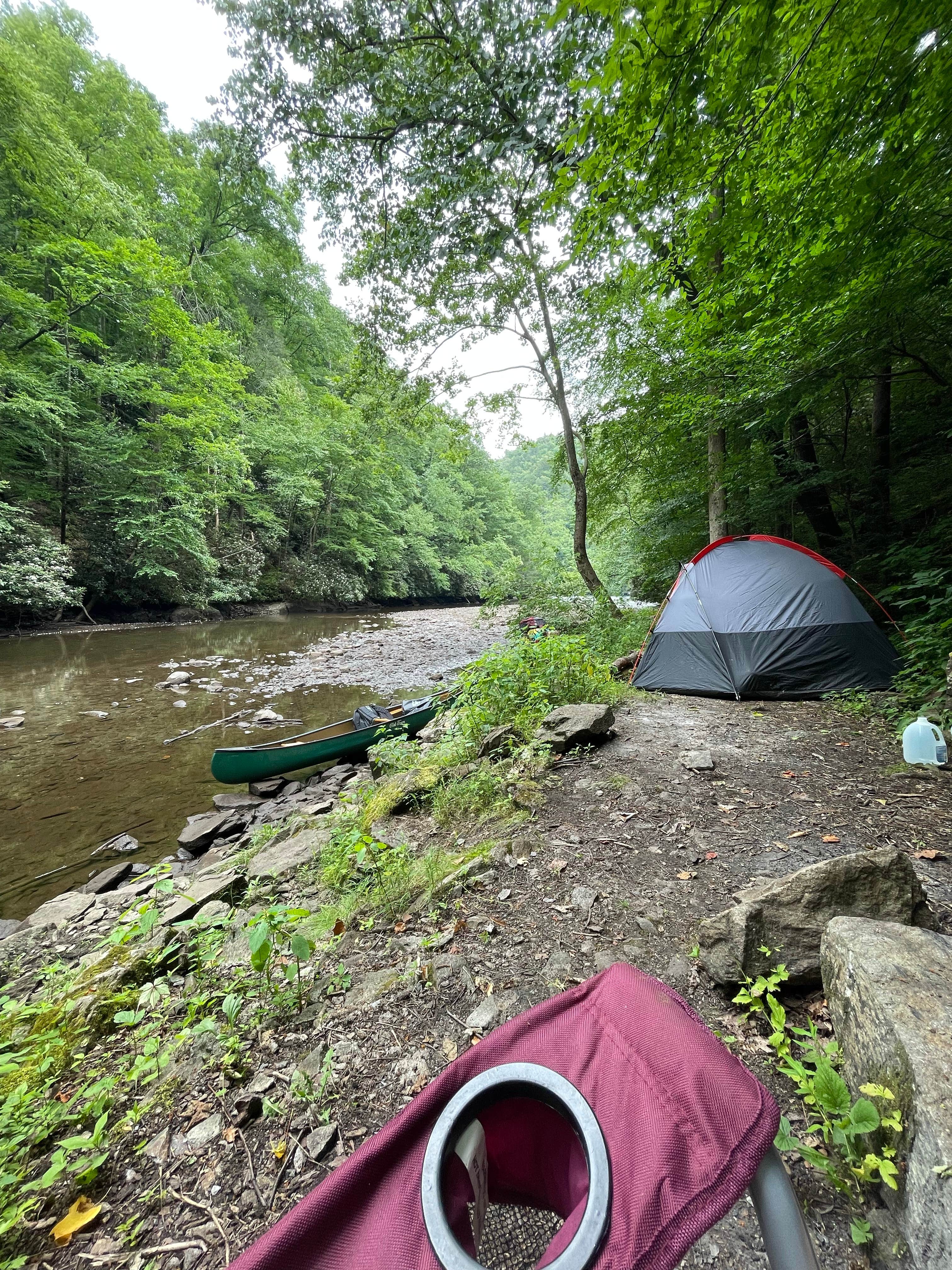 Claire K.'s photo at Calderwood Lake Primitive campground in Tennessee