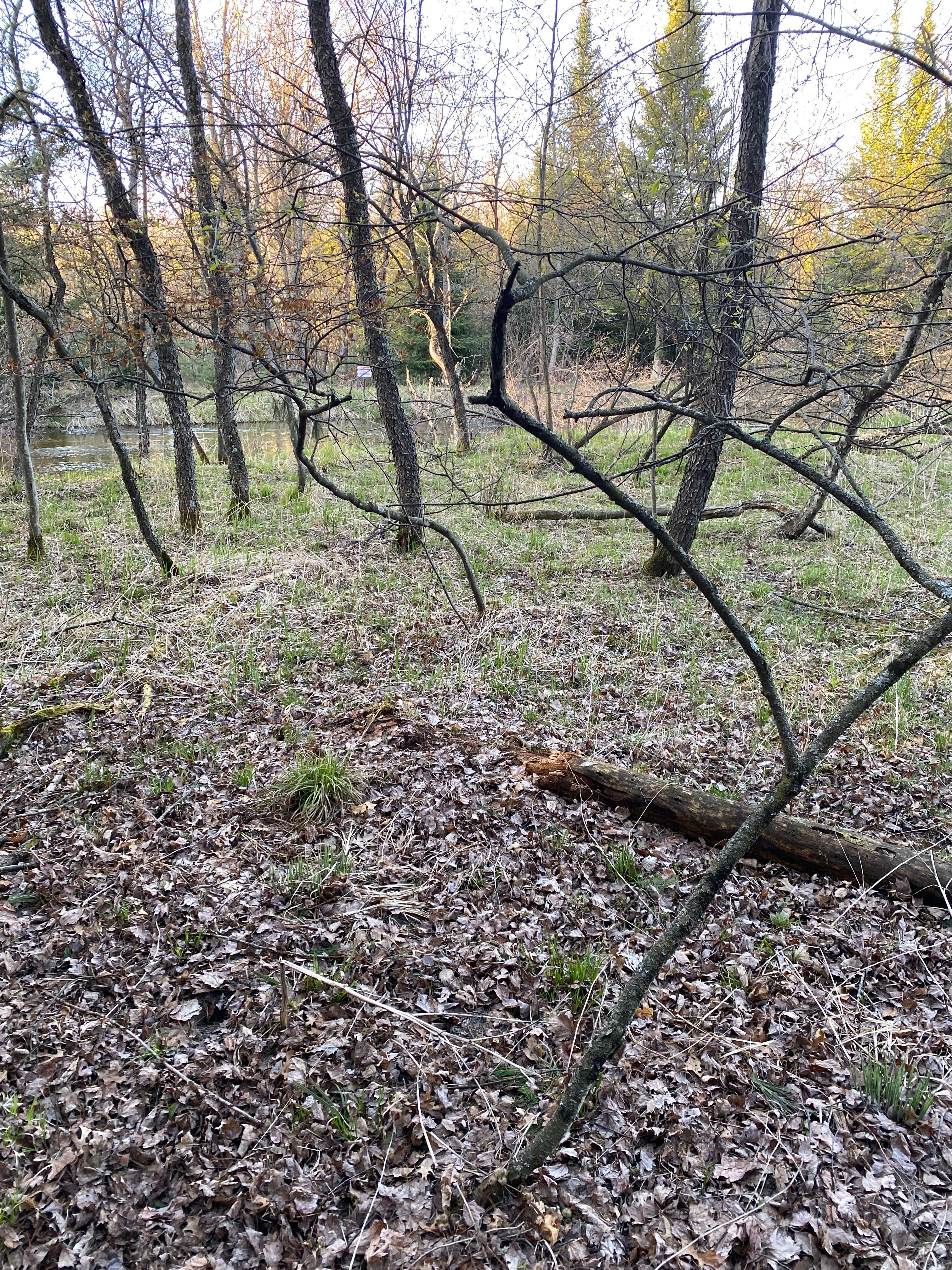 Camper-submitted photo at GoodVibes Farm near Cadillac, MI