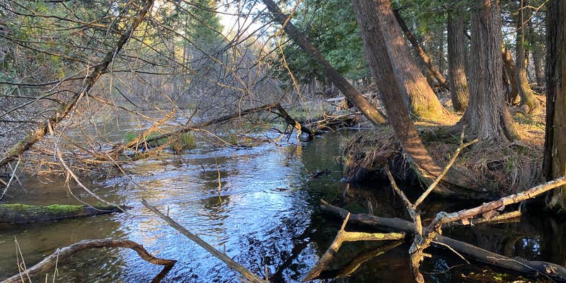 Camper submitted image from GoodVibes Farm