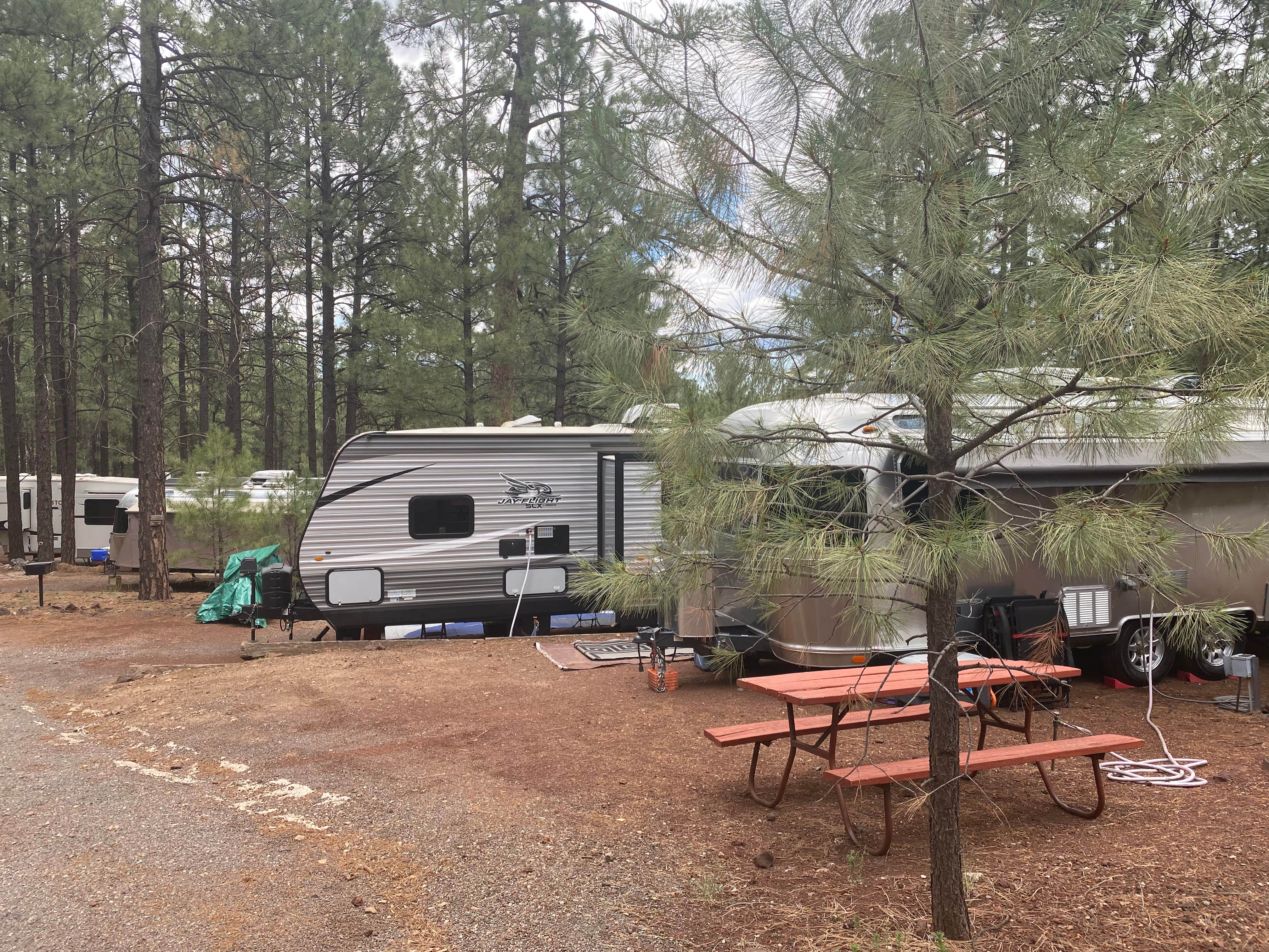 Camper-submitted photo at Woody Mountain near Cameron, AZ