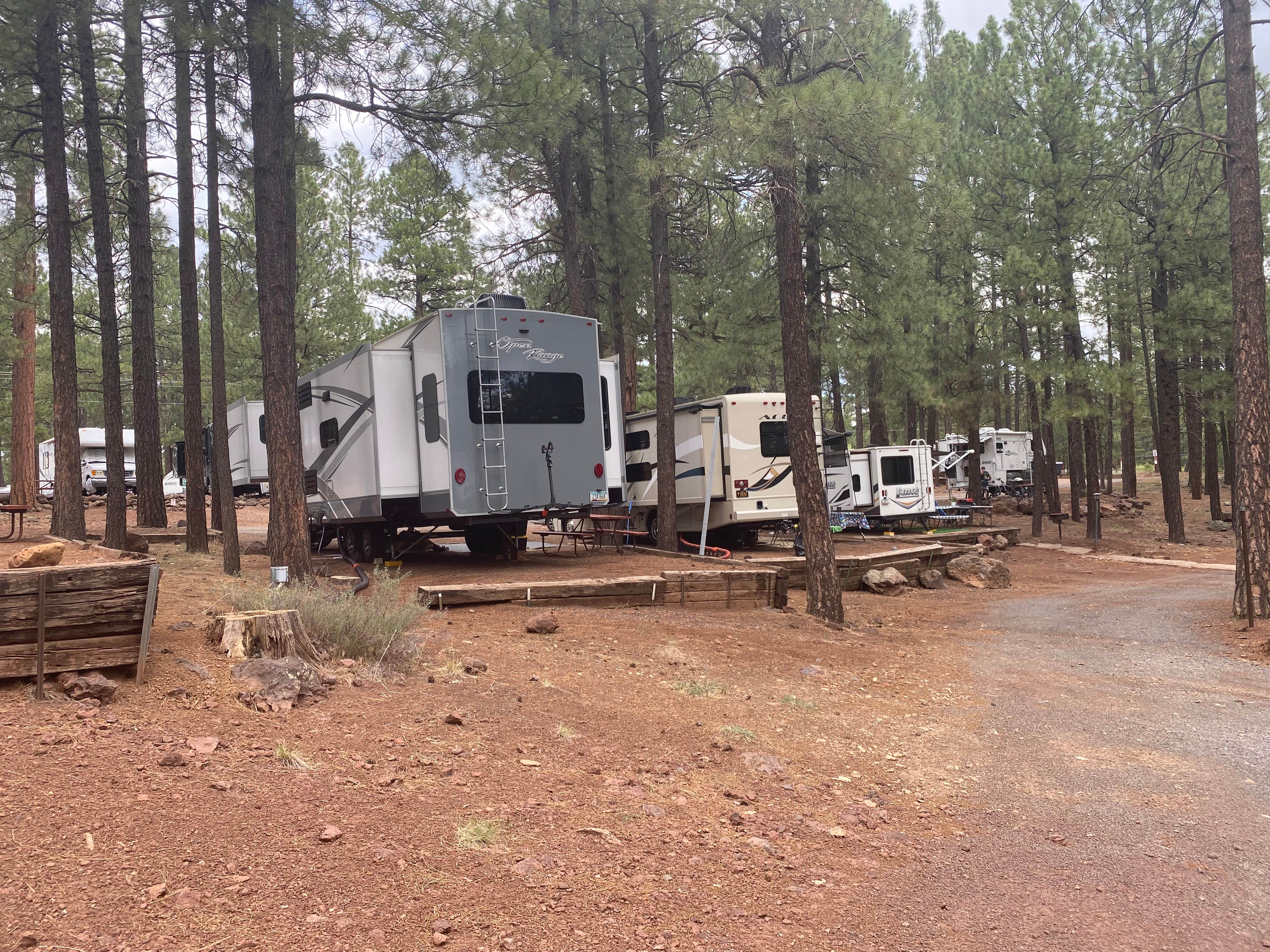 Amy & Stu B.'s photo at Woody Mountain near Bellemont, AZ