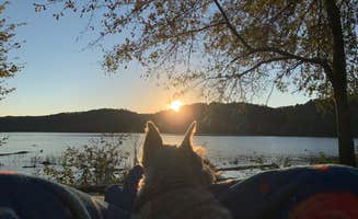 Linda G.'s photo of camping with pets at Burchfield Branch Park near Vestavia Hills, AL