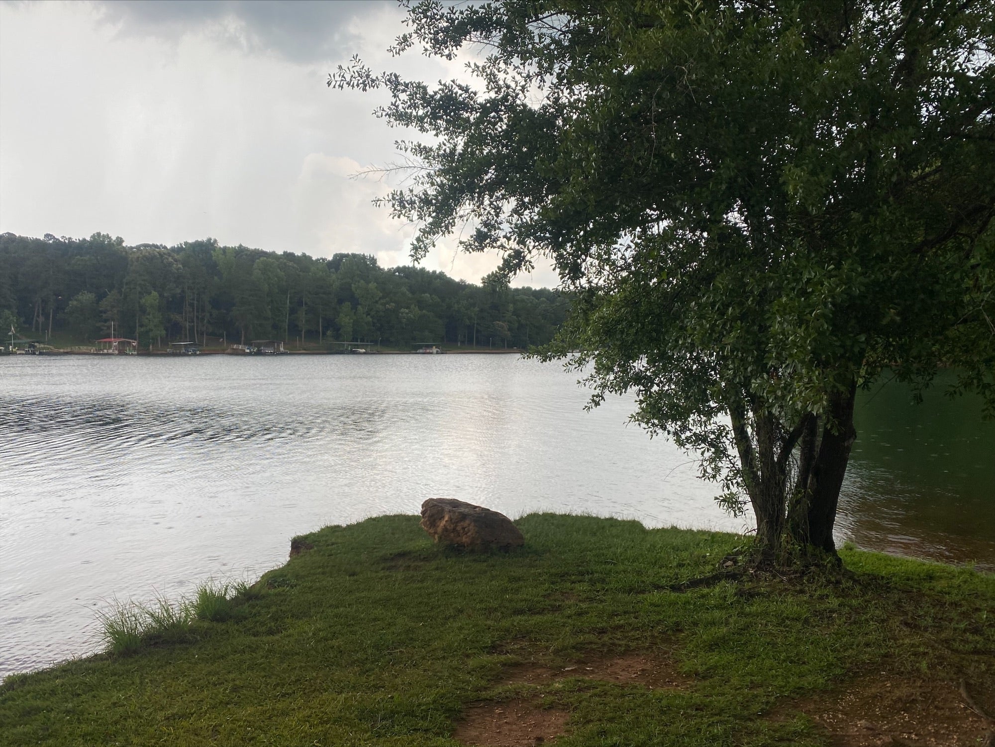 Camper submitted image from The Point at Lake Hartwell - 2