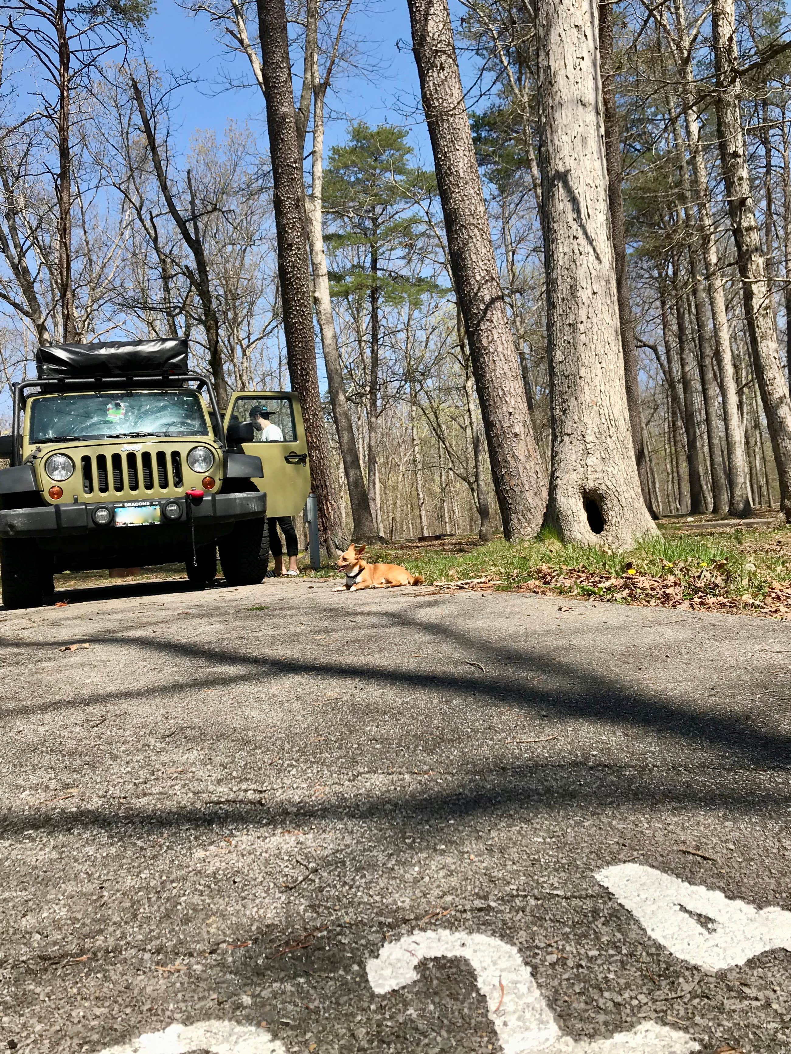 Camper submitted image from Deam Lake State Rec Area - 4