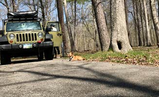 Sarah N.'s photo of rv camping at Deam Lake State Recreation Area Campground near Prospect, KY
