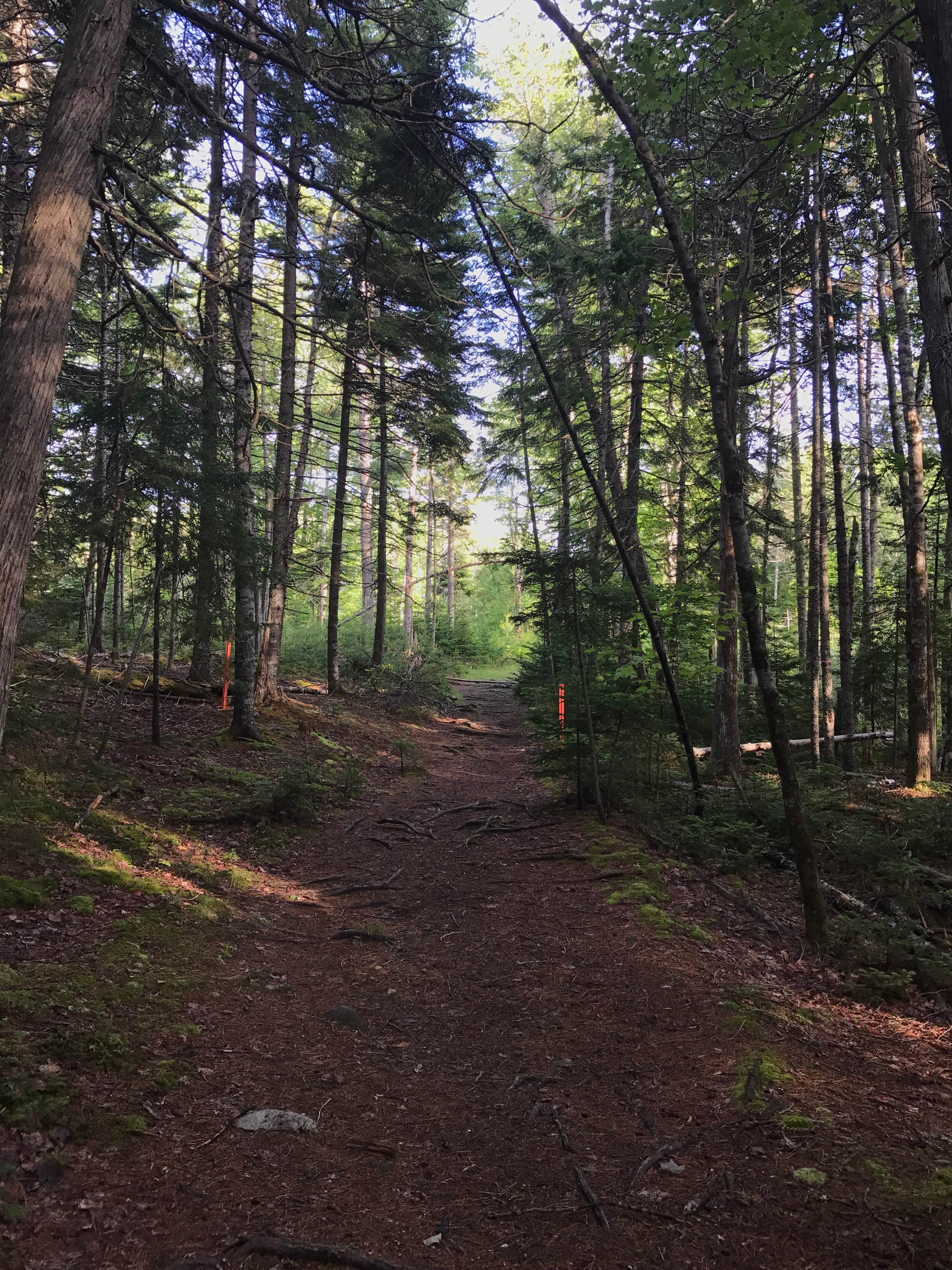 Camper submitted image from Smuggler's Den Campground - 4