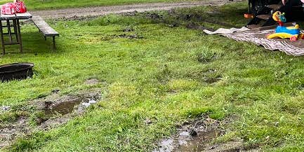 Camper submitted image from The Holly Campground