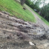 Review photo of The Holly Campground by Tarah P., July 15, 2022