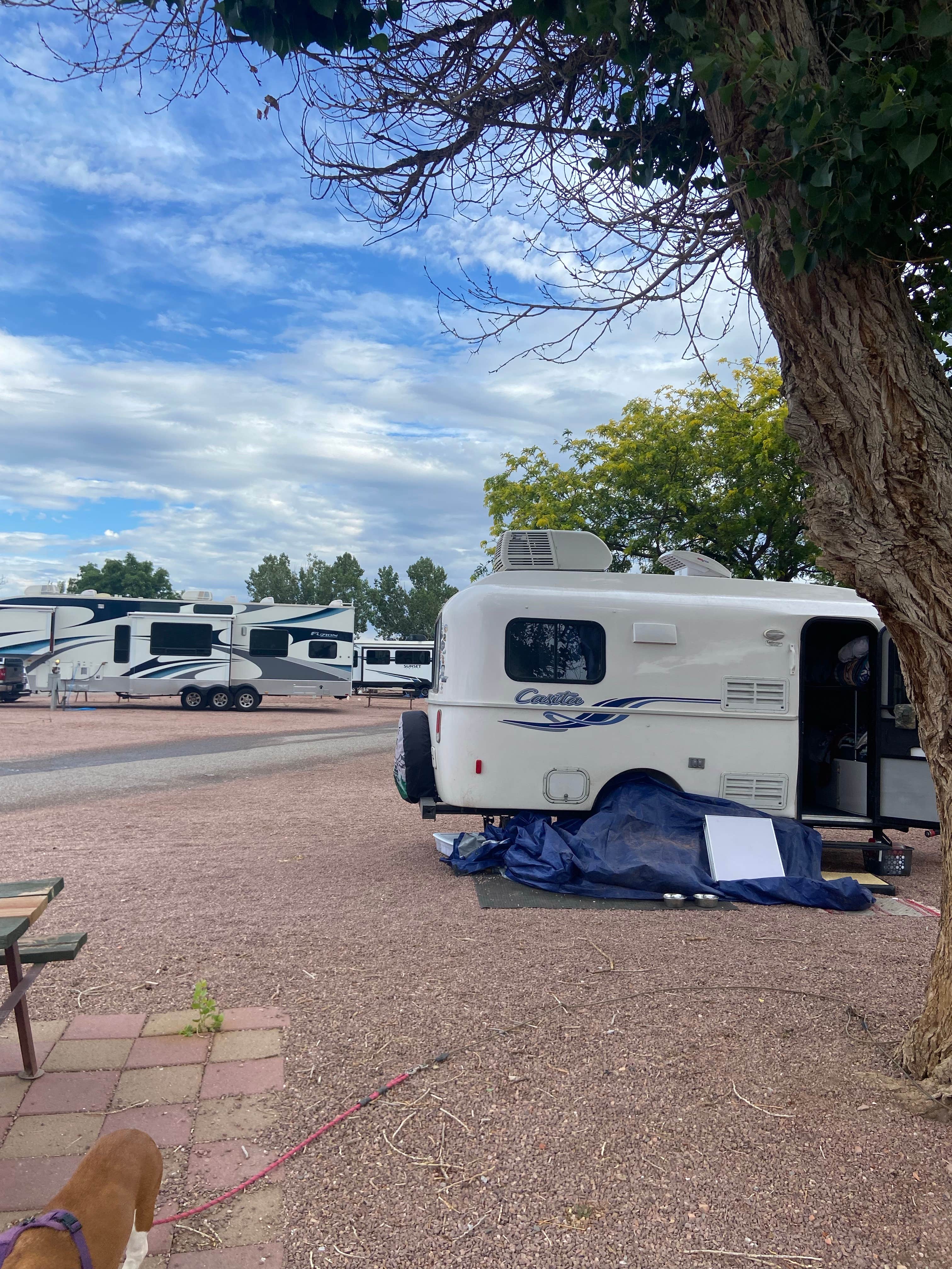 Kim B.'s photo of rv camping at USA RV Park near Pinehill, NM