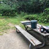 Review photo of Dungeness Recreation Area by allison W., July 15, 2022