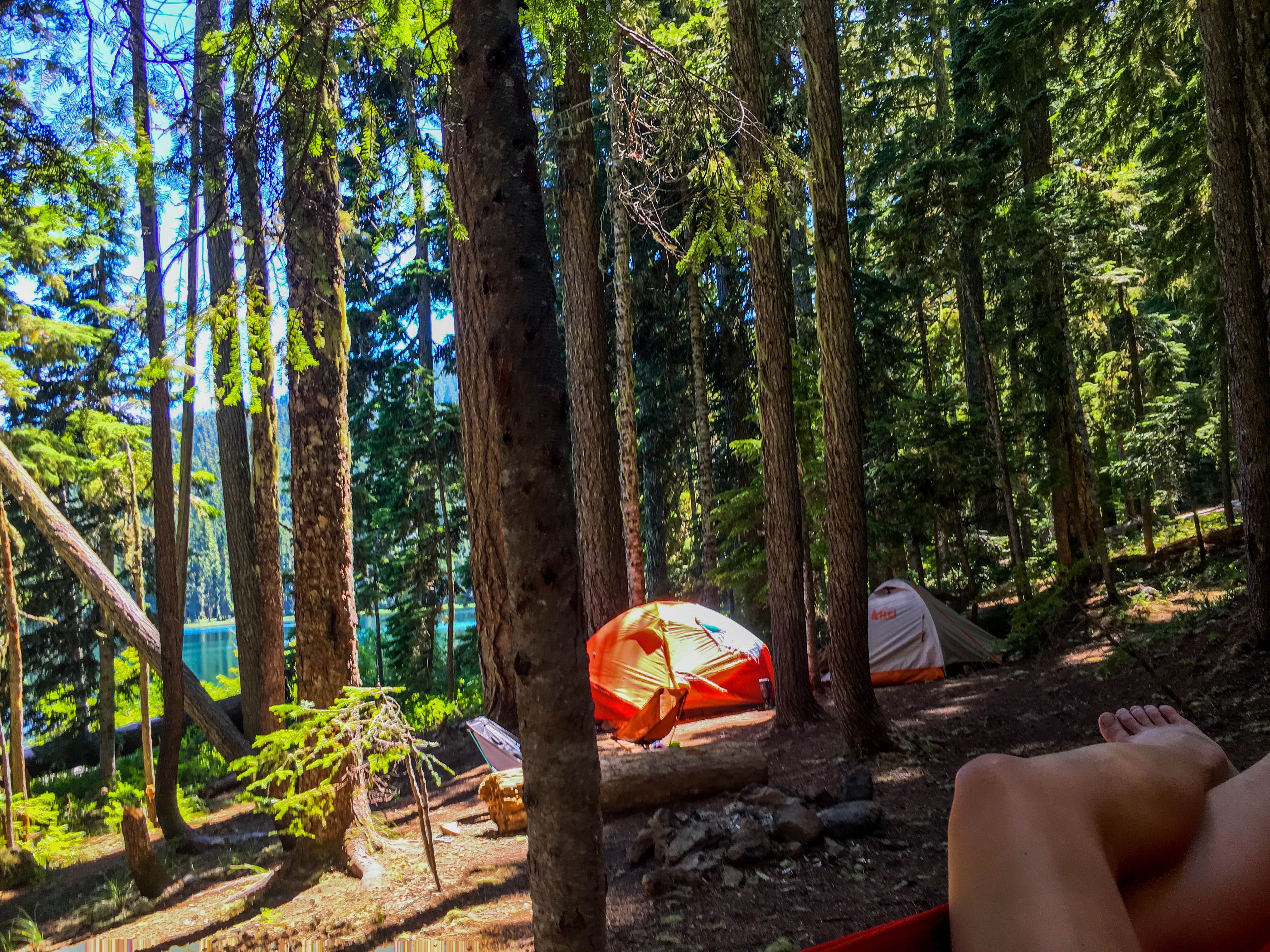 Debra K.'s photo at Lower Twin Campground in Oregon