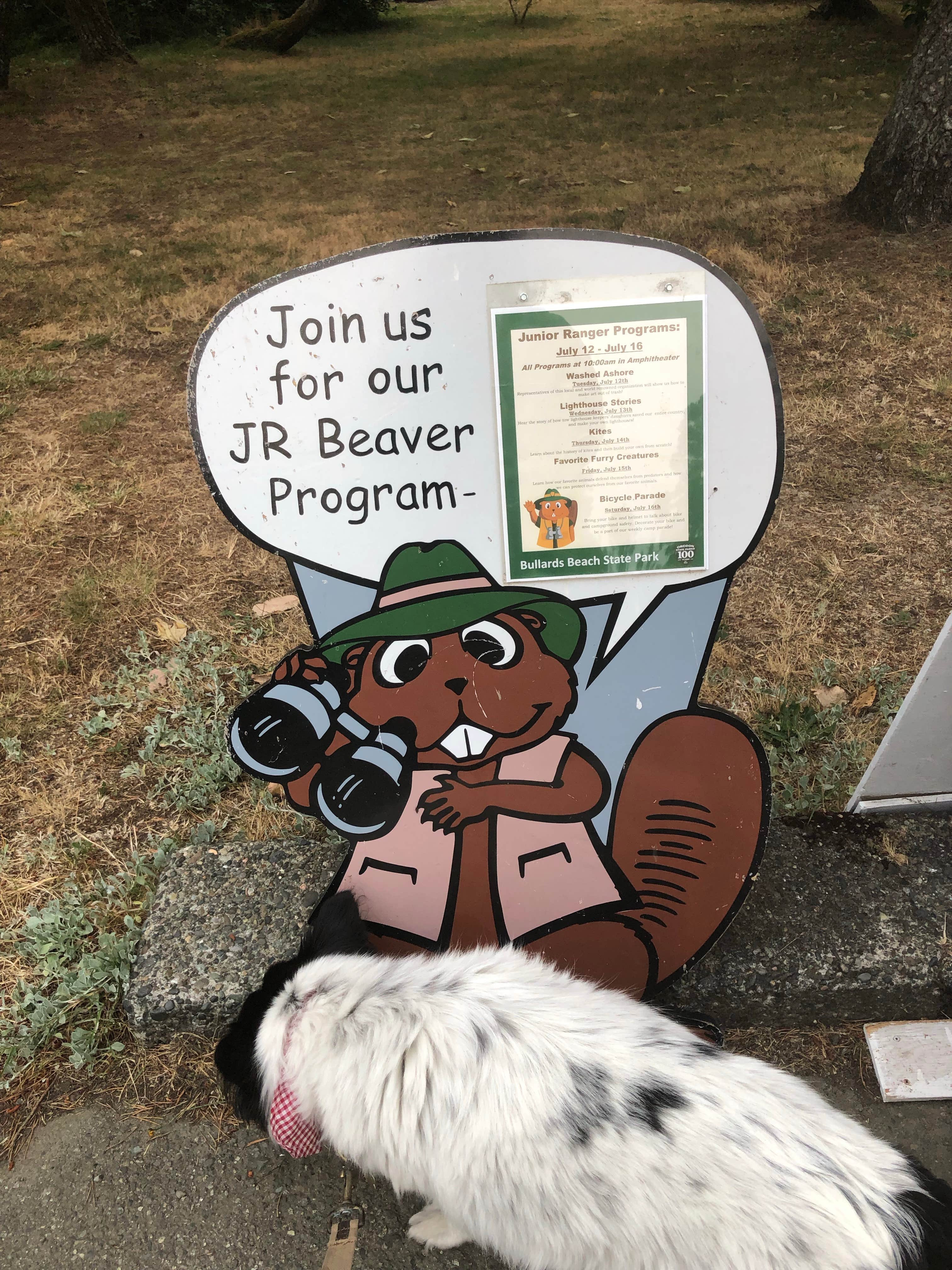 allison W.'s photo of camping with pets at Bullards Beach State Park Campground near Bandon, OR