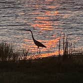 Review photo of Paradise on Lake Texoma by Natalie S., July 15, 2022