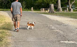 Natalie S.'s photo of camping with pets at Paradise on Lake Texoma near Gainesville, TX