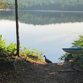 Review photo of Limekiln Lake Campground by Melissa T., July 19, 2018