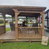 Review photo of RV Resort At Carolina Crossroads by deb K., July 15, 2022