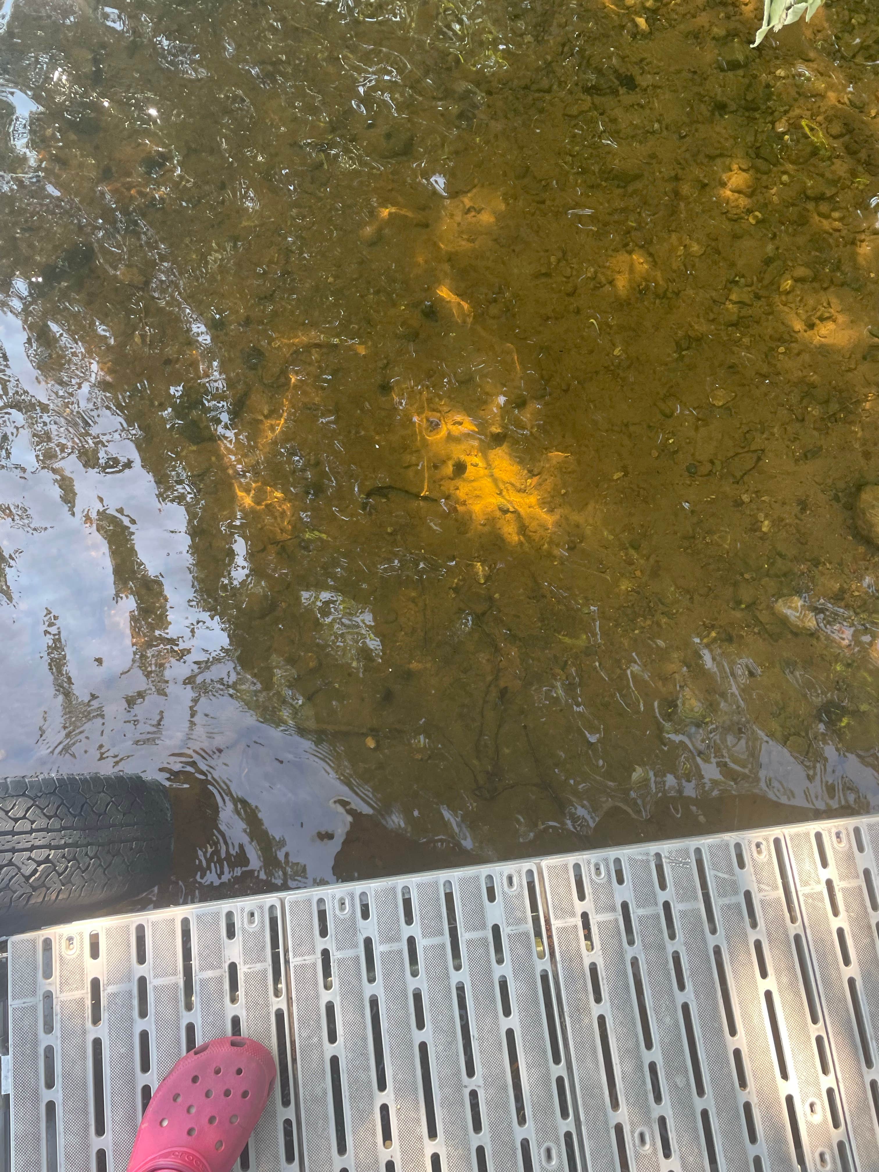 Camper-submitted photo at Camp Holiday Resort and Campground near Pequot Lakes, MN