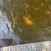 Review photo of Camp Holiday Resort and Campground by katherine O., July 15, 2022